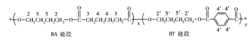 219-PBAT分子鏈