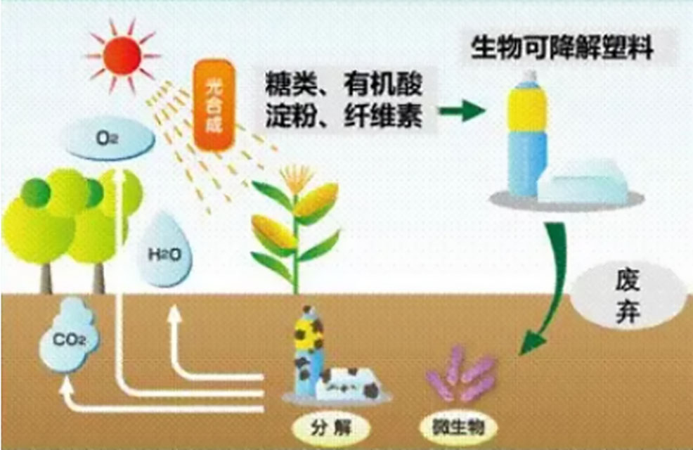 177-飽受爭(zhēng)議的“可降解塑料”配圖